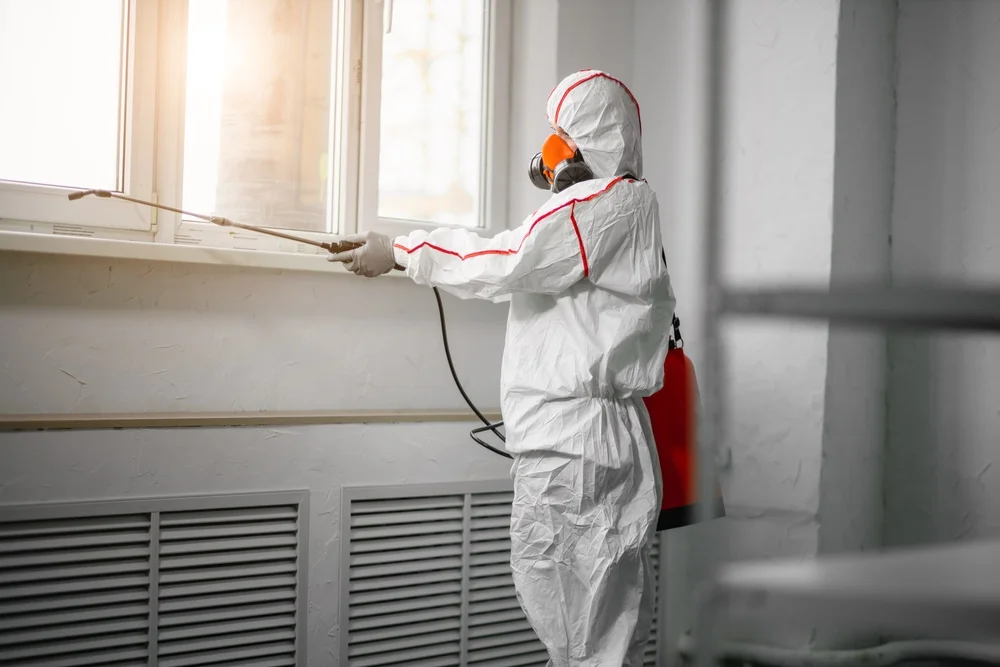 Professional mold remediation services in Newberry, FL